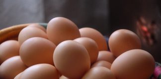 ¿Cómo saber si los huevos son frescos o no? huevos frescos