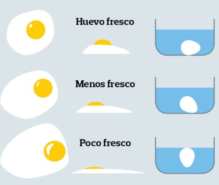 huevos son frescos o no