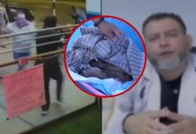 Abandona perritos y agrede a veterinario