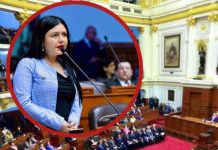 ONP: Sale bono de S/1,375 para cobrar en 2 partes Ariana Orué de Podemos Perú