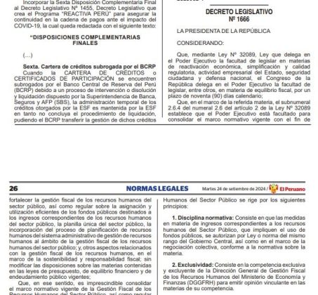 Decreto Legislativo N&deg; 1666 (1)