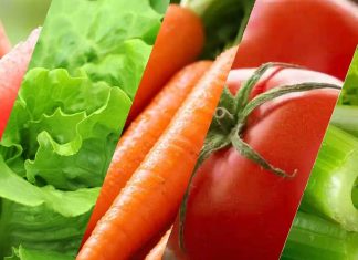 Frutas y verduras que te ayudan a orinar Frutas y verduras que te ayudan a orinar