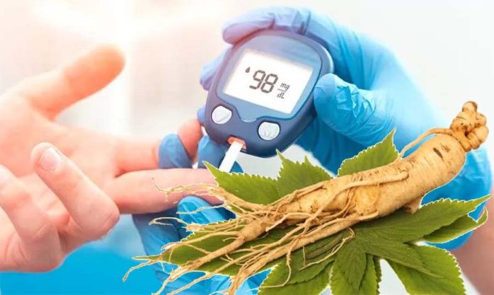 Infusiones para bajar el azúcar en la sangre Infusiones para bajar el azúcar en la sangre