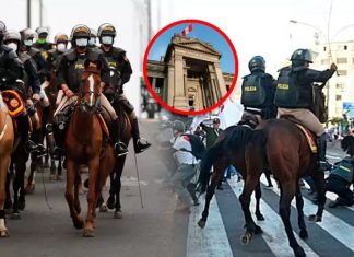 PNP no podrá usar caballos en marchas Policía Nacional del Perú