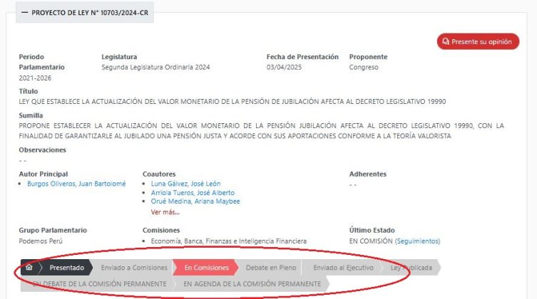 Proyecto de ley 10703-2024-CR (3)