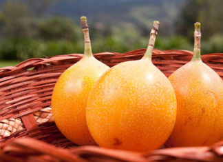 Come granadilla y mejora tu digestión granadilla