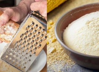 Harina de maíz o pan rallado