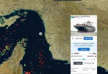 Apresaron dos buques en Ormuz