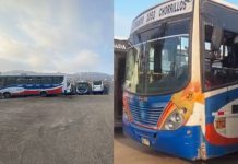 Balearon bus de Sur Lima