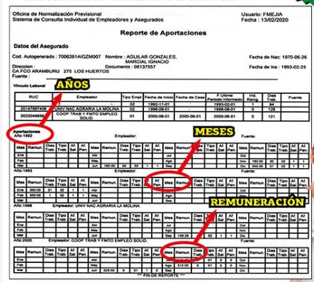 ONP - Reporte de aportaciones