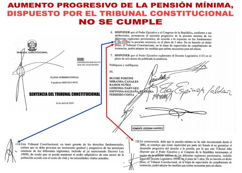 Sentencia del tribunal constitucional, N° 0009-2015