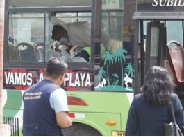 Sicarios asesinan a mujer dentro de bus
