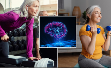 memoria del adulto mayor