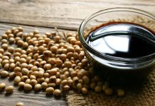 salsa de ostión y el sillao