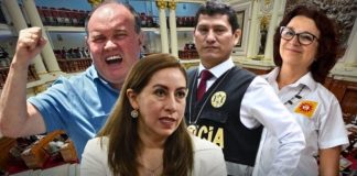 senadores y diputados