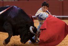 torero peruano Andrés Roca Rey