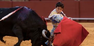 Torero Andrés Roca Rey grave en Sevilla torero peruano Andrés Roca Rey