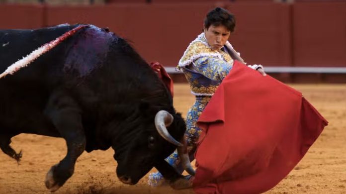 torero peruano Andrés Roca Rey