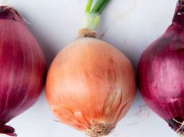 ¿Cuál es mejor cebolla: morada o blanca?