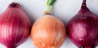 ¿Cuál es mejor cebolla: morada o blanca?