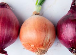 ¿Cuál es mejor cebolla: morada o blanca? ¿Cuál es mejor cebolla: morada o blanca?