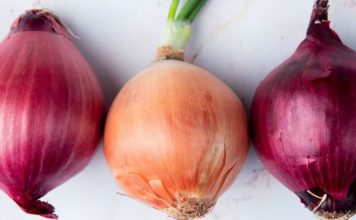 ¿Cuál es mejor cebolla: morada o blanca?