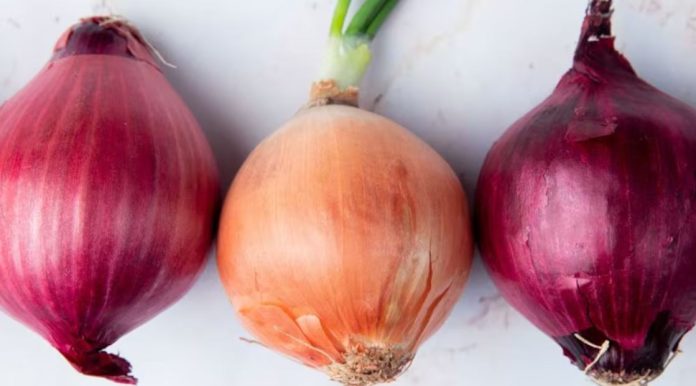 ¿Cuál es mejor cebolla: morada o blanca?