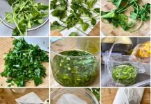 ¿Cuánto dura el culantro molido en el frizer?