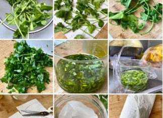 ¿Cuánto dura el culantro molido en el frizer?