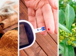 6 plantas medicinales para bajar el azúcar 6 plantas medicinales para bajar el azúcar