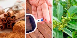 6 plantas medicinales para bajar el azúcar