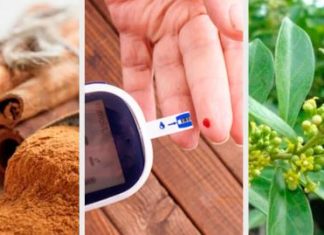 6 plantas medicinales para bajar el azúcar
