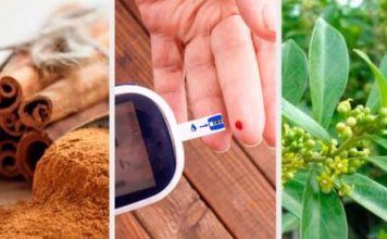 6 plantas medicinales para bajar el azúcar