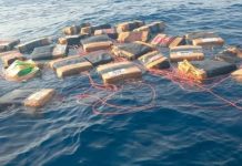 Chapan toneladas de coca een el Pacífico sur de México