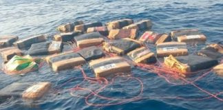Chapan toneladas de coca een el Pacífico sur de México