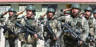 Fuerzas Armadas