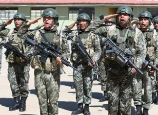 Fuerzas Armadas