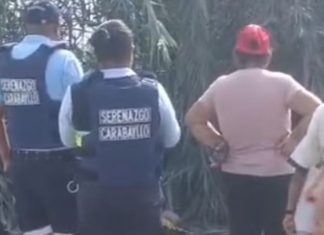 Hallan cadáver con impactos de bala Hallan cadáver con impactos de bala