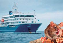 Hantavirus mantiene en alerta a puertos peruanos