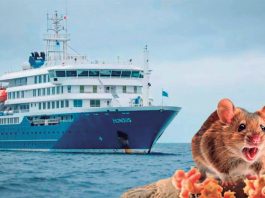 Hantavirus mantiene en alerta a puertos peruanos