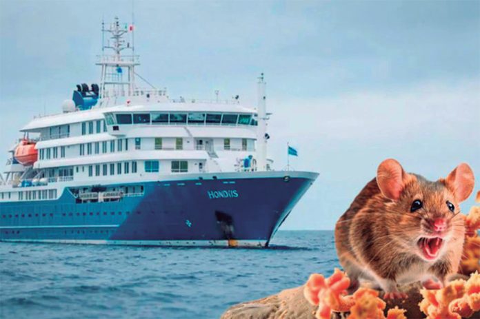 Hantavirus mantiene en alerta a puertos peruanos Hantavirus mantiene en alerta a puertos peruanos