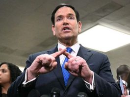 Acusa a OMS de reacción tardía Marco Rubio