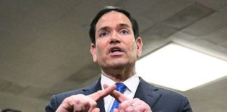 Acusa a OMS de reacción tardía Marco Rubio