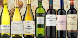 Mejores vinos para la cocina