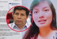 Renunció Lesli González Cabanillas, paisana de Castillo a Comisión de Gracias Presidenciales