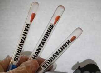 hantavirus