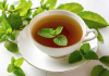 Beneficios de tomar té de menta para el organismo té de menta