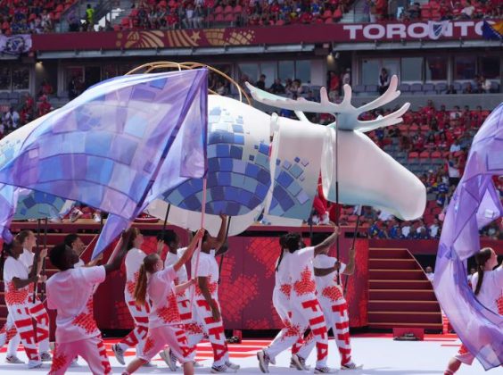 El alce, animal representativo de Canadá