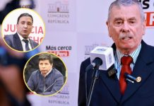Fernando Rospigliosi, ha pedido al ministro de Justicia, Luis Jiménez Borra, no firmar ningún indulto en favor Pedro Castillo