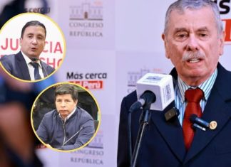 Fernando Rospigliosi, ha pedido al ministro de Justicia, Luis Jiménez Borra, no firmar ningún indulto en favor Pedro Castillo